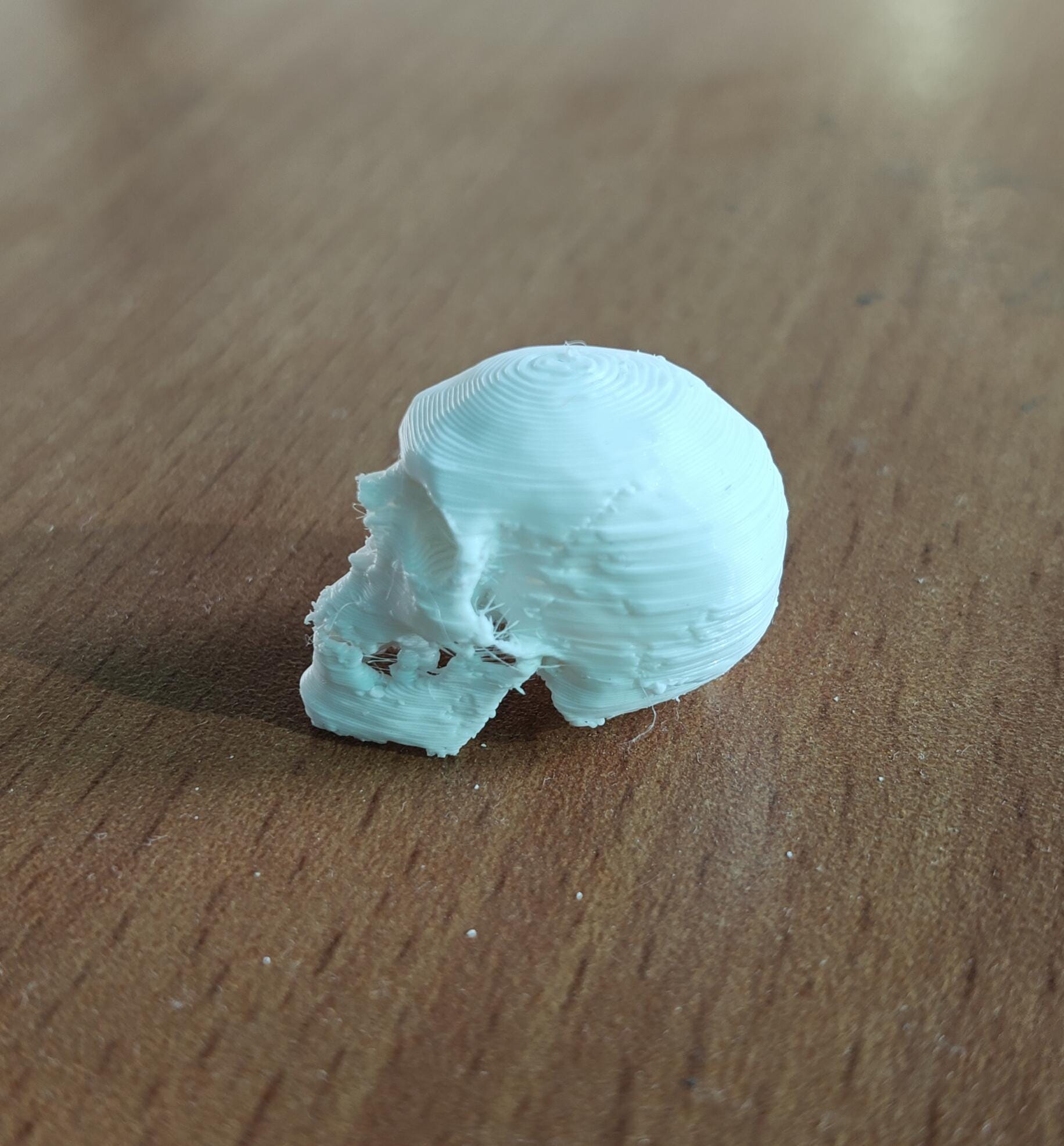 20-Part Disarticulated Human Skull Model | Medical Anatomy Study Set