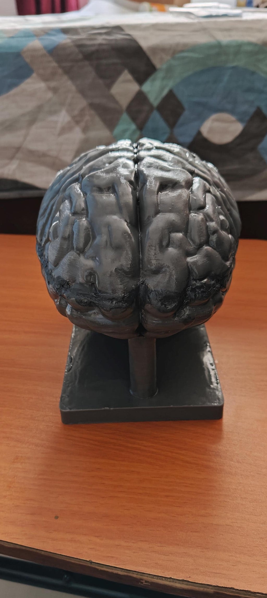 Miniature Brain Sculpture | Neuroscience Desk Decor | Psychology Gift | Educational Brain Anatomy Model