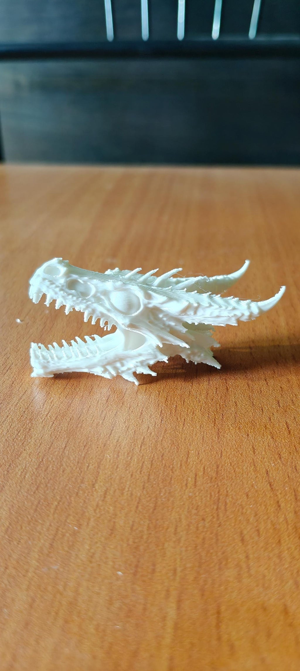 Anatomical Dragon Skull Fossil | Dragon Bone Desk Decor | D&D Fantasy Prop | Mythical Creature Skeleton