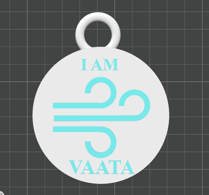 Custom Ayurvedic "Vata Prakriti" Dual-Tone Keychain | Wellness Professional ID Accessory | Personalized Dosha Personality Gift