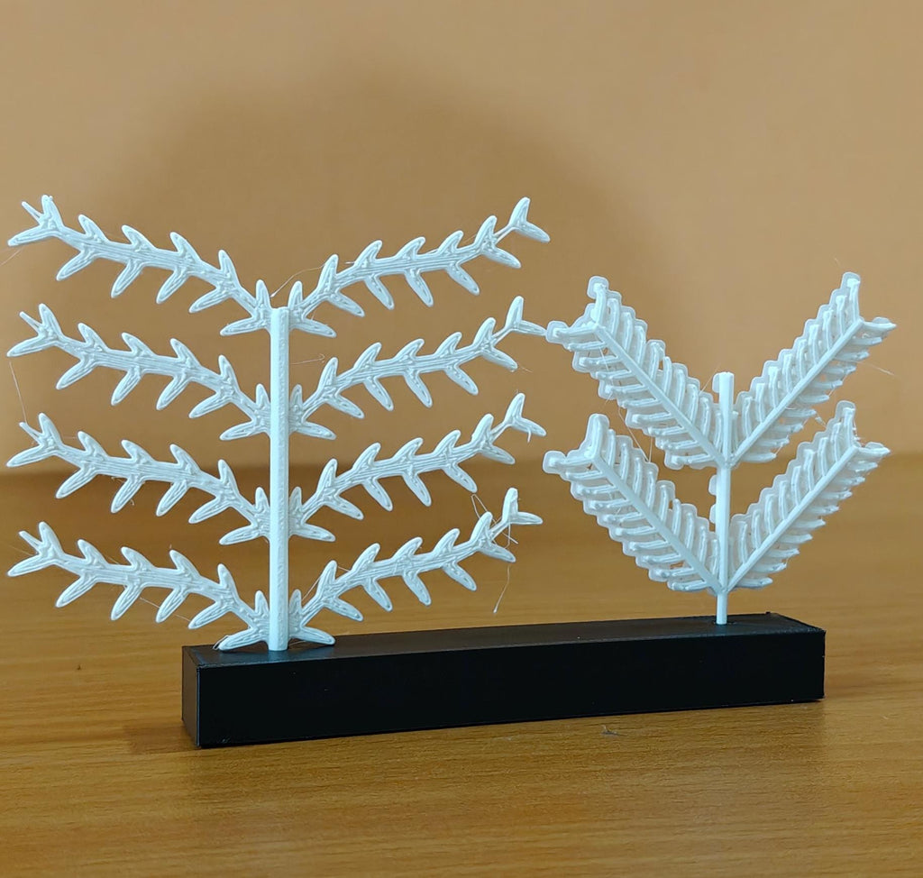 Scientific Bird Feather Model | Barb & Barbule Anatomy | Educational Biology Display | Avian Science Teacher Gift
