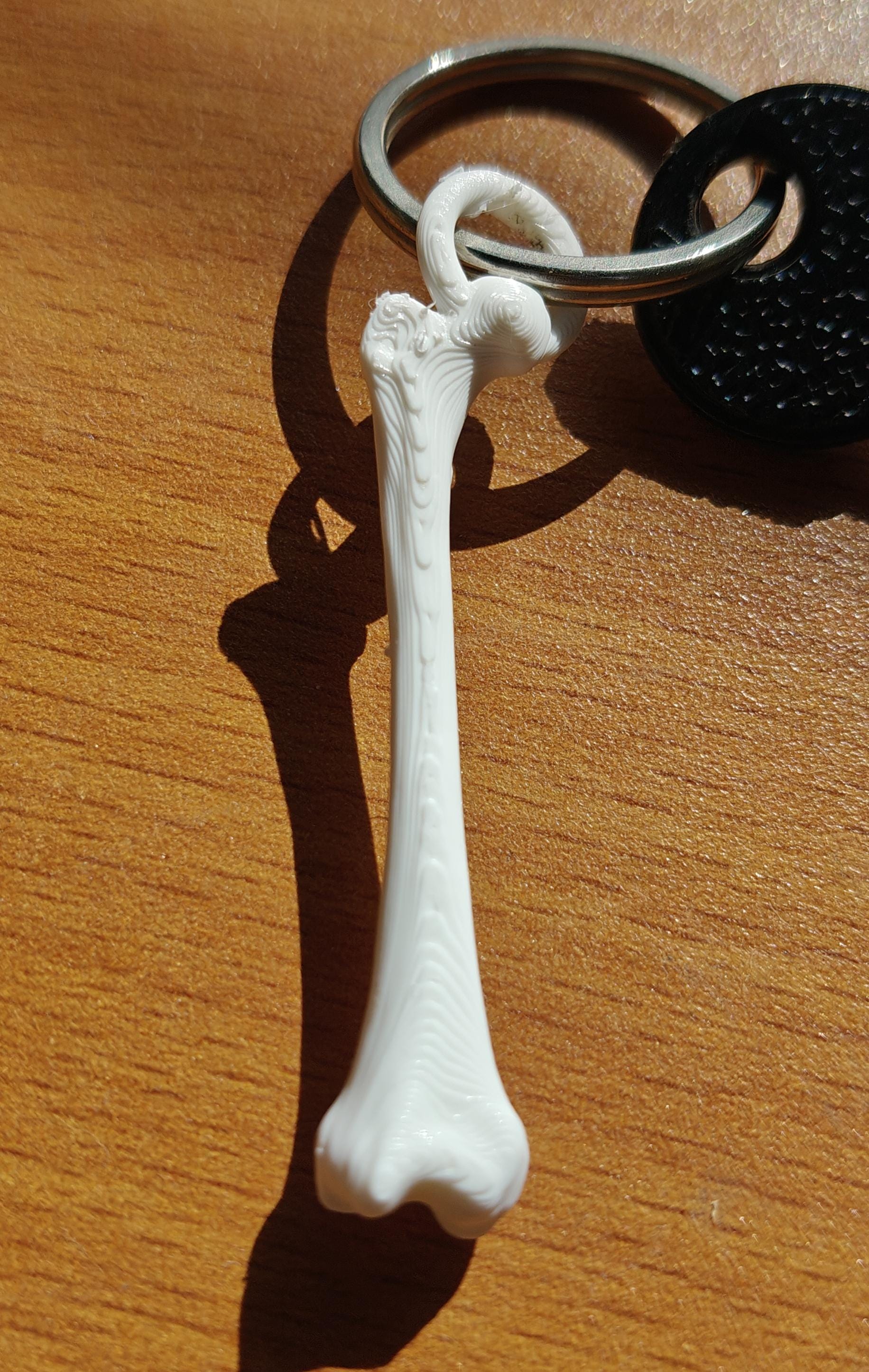 Anatomical Femur Keychain | 30mm Osteology Accessory | Medical Student & Orthopedic Gift | Lightweight Everyday Carry