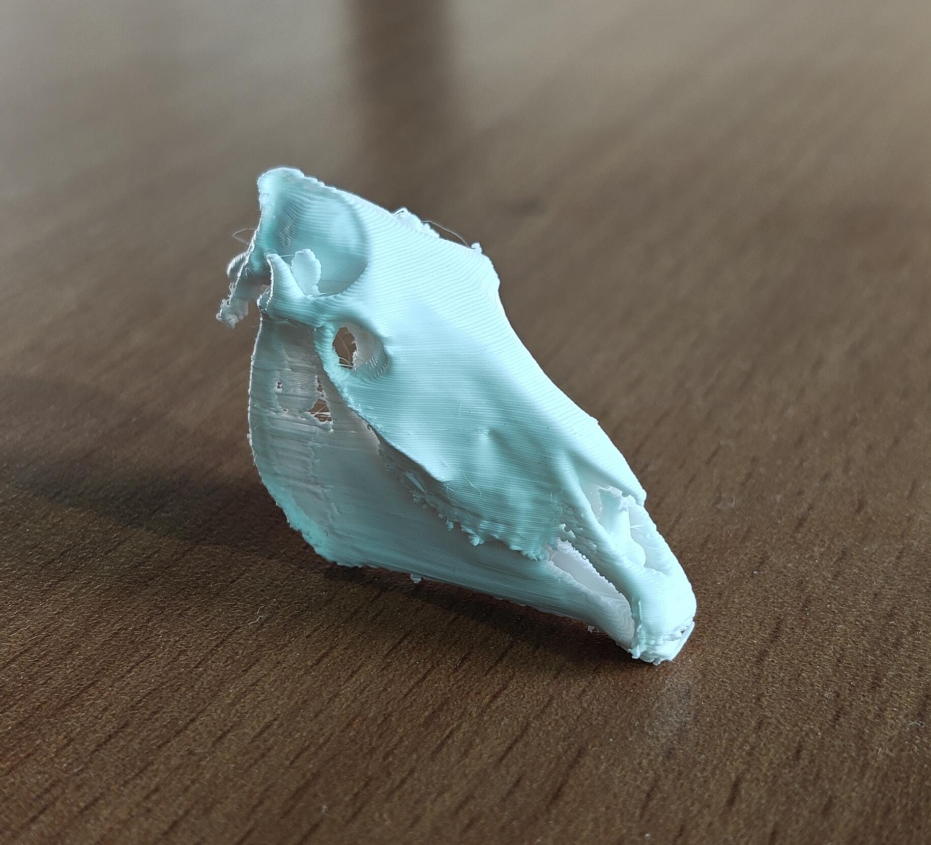 Anatomical Horse Skull Replica | 170mm Equine Osteology Model, Cruelty-Free Decor