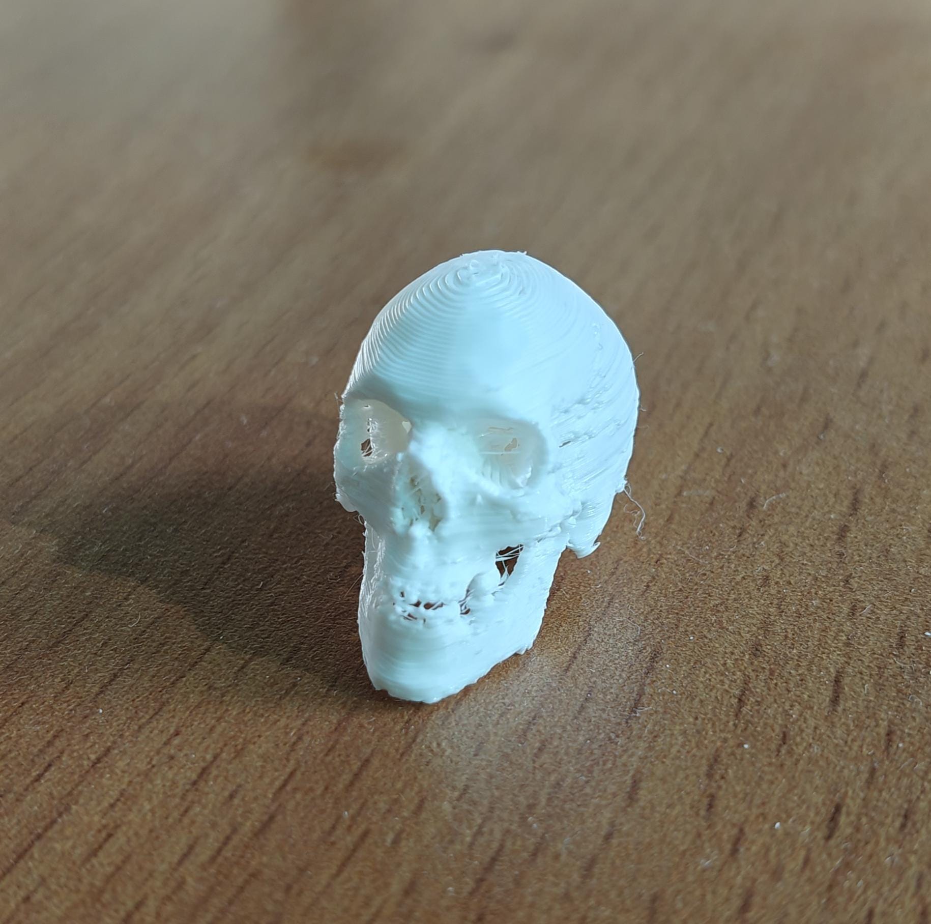 20-Part Disarticulated Human Skull Model | Medical Anatomy Study Set
