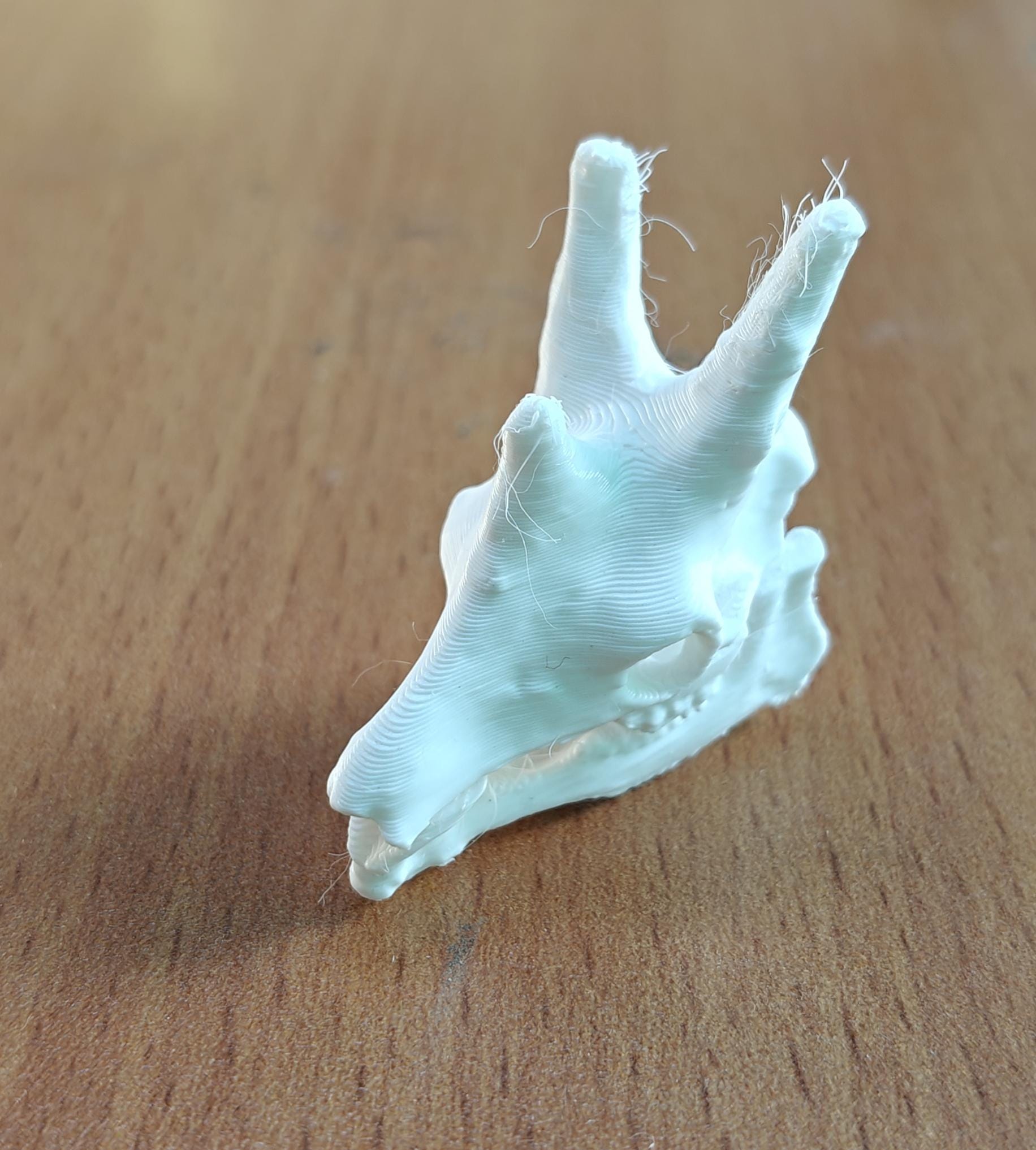 Anatomical Giraffe Skull Replica | 170mm Desk Scale Osteology Decor