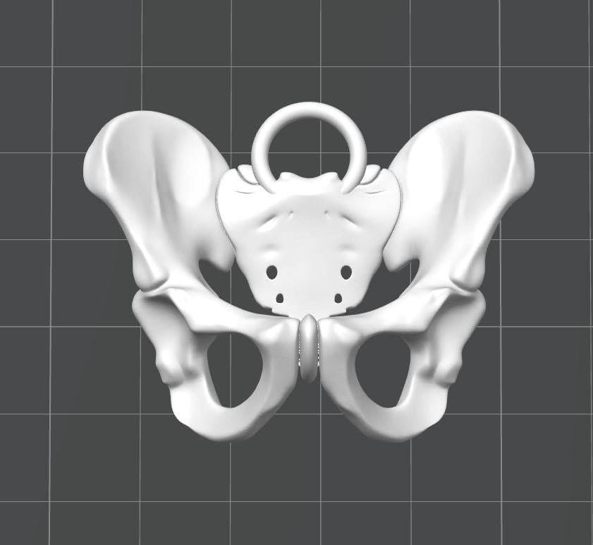Anatomical Pelvis Keychain | 50mm Skeleton Accessory | OB-GYN & Midwife Gift | Detailed Miniature Osteology Model