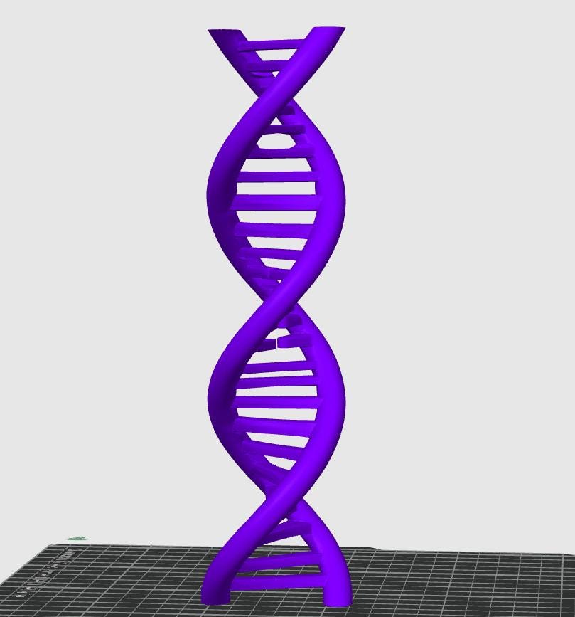 DNA Double Helix Model | Genetic Structure Sculpture | Science Lab Decor | Biology Teacher Graduation Gift