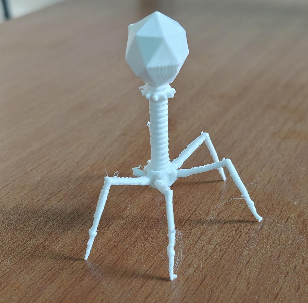 175mm Bacteriophage T4 Model | Virus Sculpture Gift