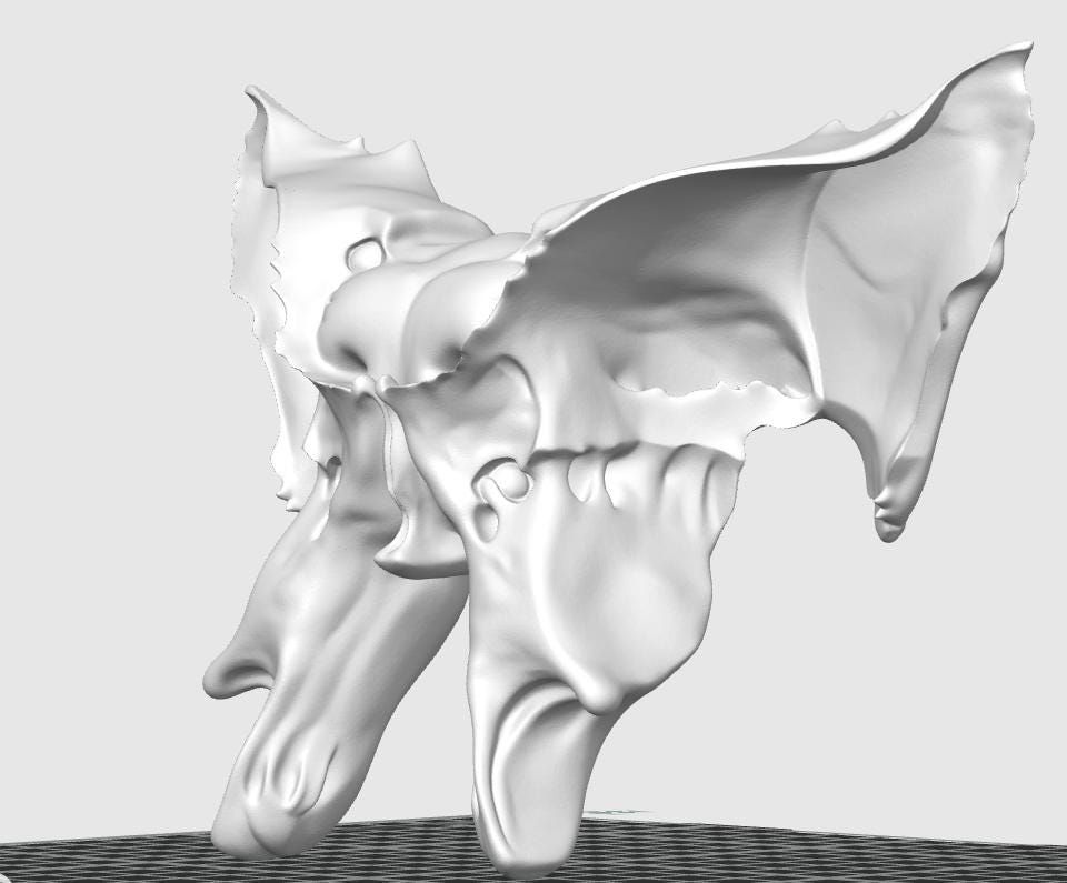 1:1 Scale Sphenoid Bone Model | Human Skull Anatomy Specimen, Medical Education Cranial Bone Study