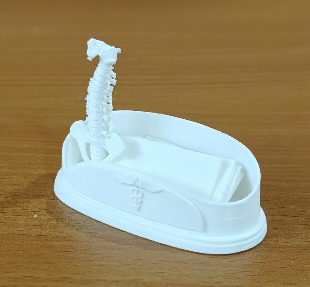 Spinal Column Business Card Holder | Chiropractor Office Decor | Spine Anatomy Desk Accessory | Orthopedic Gift