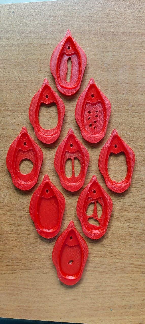 9-Piece Female Hymen Anatomy Kit | Gynecological Study Set | Medical Education Model | Professional Women's Health