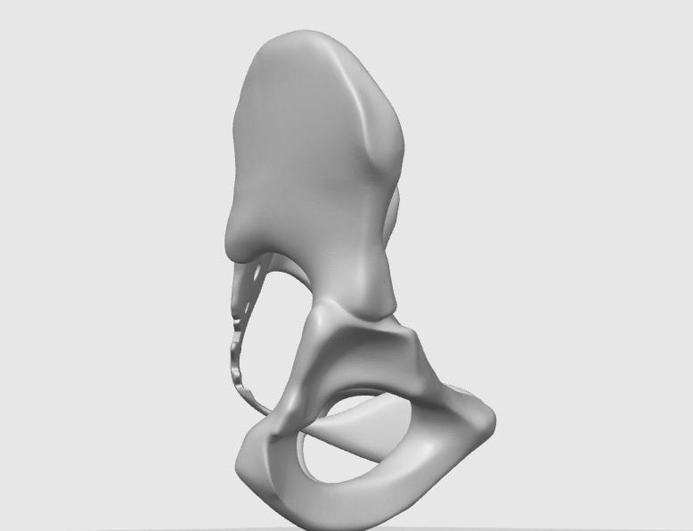 Female Pelvis Bone Model | Midwifery, PT, Medical Study Aid Replica