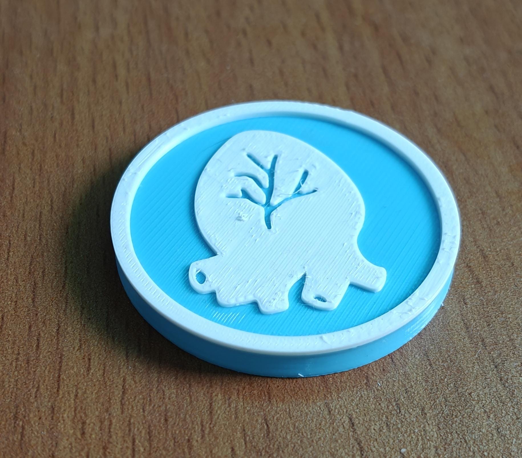 Anatomical Heart Coaster Set | Pack of 5 | 100mm Heat-Resistant PETG