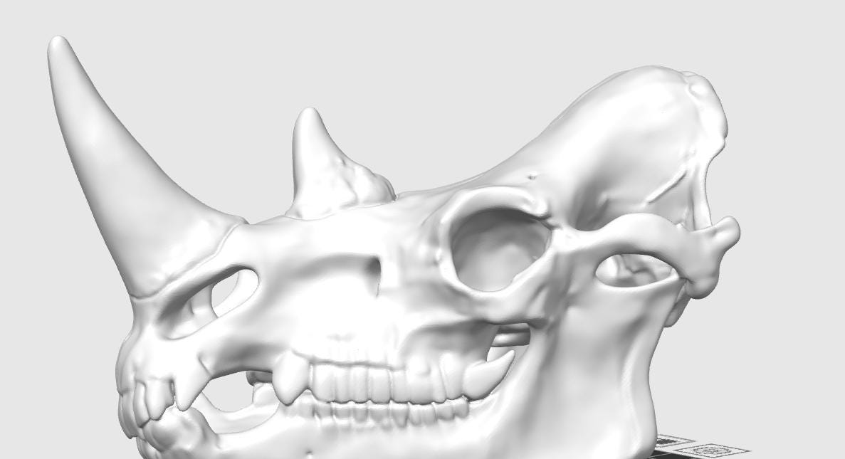 Anatomical Rhinoceros Skull Replica | Fossil Display | Perissodactyl Megafauna Anatomy Model | Professional Paleontology & Zoology Decor