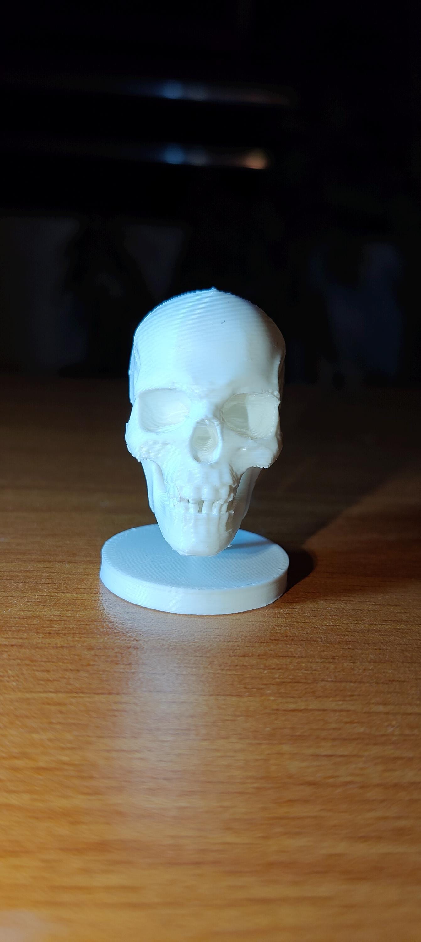Human Skull Model | Anatomical Medical Study Replica | Life Size Skull Sculpture | Science Classroom Decor