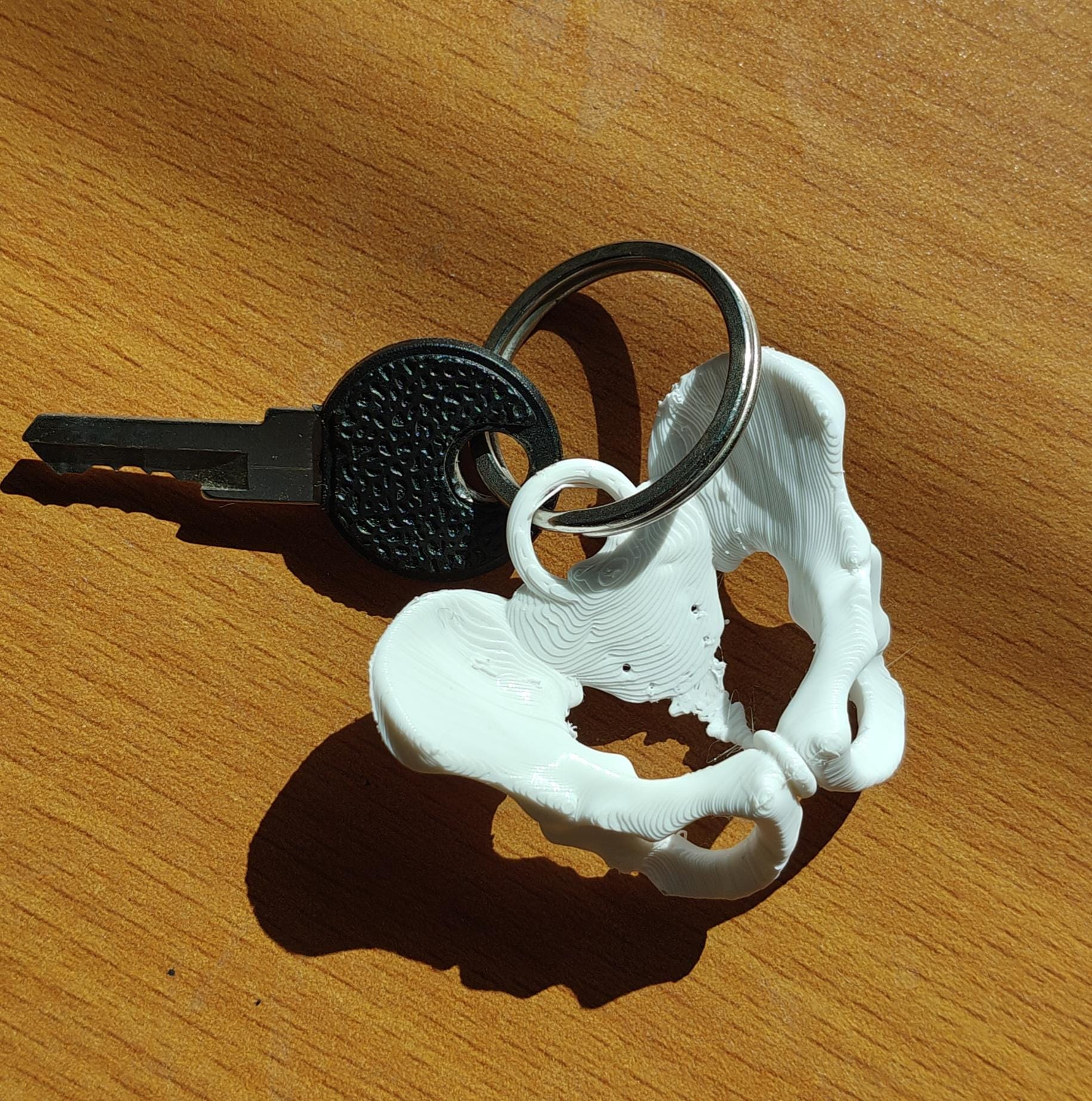 Anatomical Pelvis Keychain | 50mm Skeleton Accessory | OB-GYN & Midwife Gift | Detailed Miniature Osteology Model