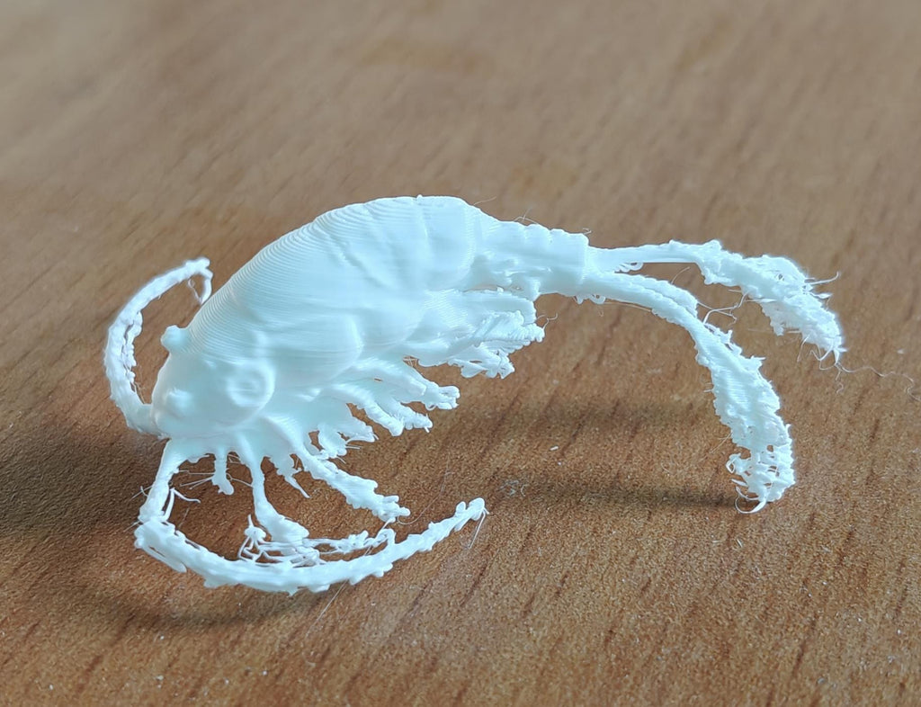 Copepod Crustacean Model | Marine Plankton Sculpture | Biology Replica | Gift for Medical