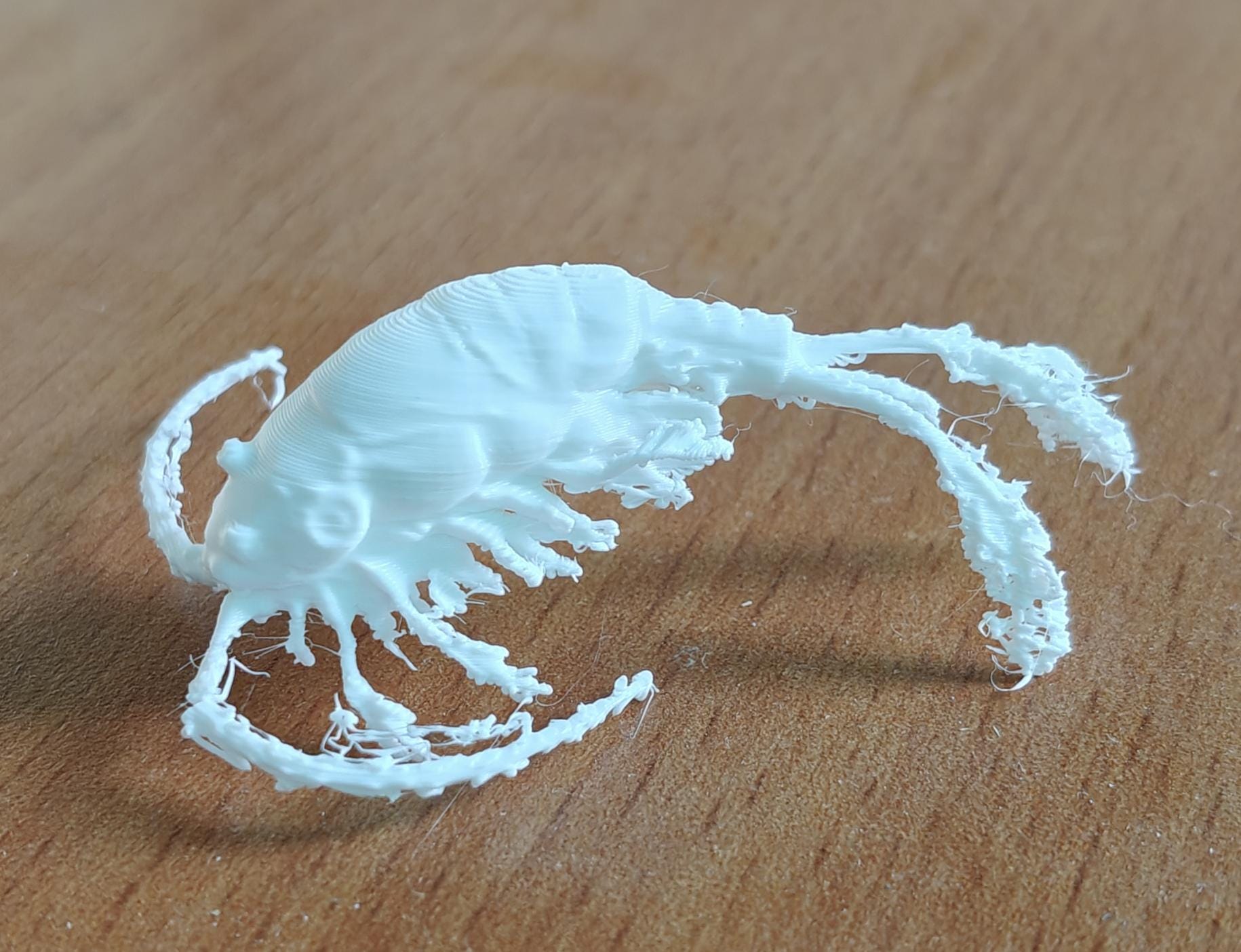 Copepod Crustacean Model | Marine Plankton Sculpture | Biology Replica | Gift for Medical