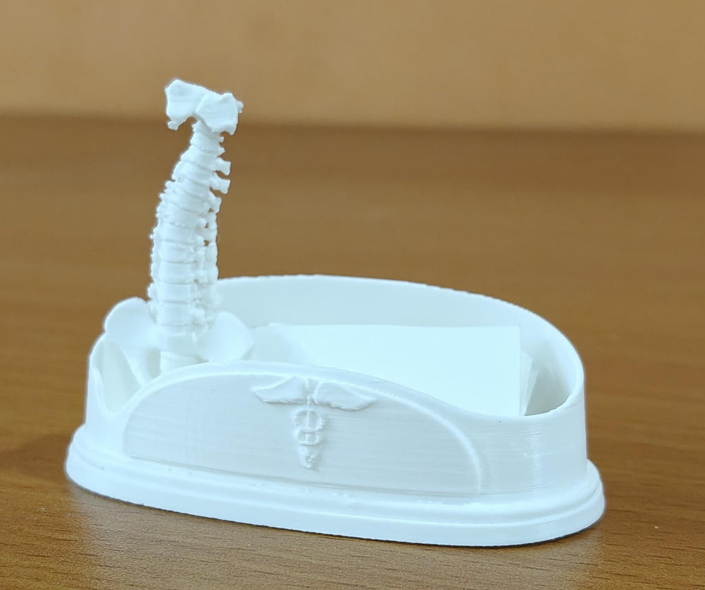 Spinal Column Business Card Holder | Chiropractor Office Decor | Spine Anatomy Desk Accessory | Orthopedic Gift