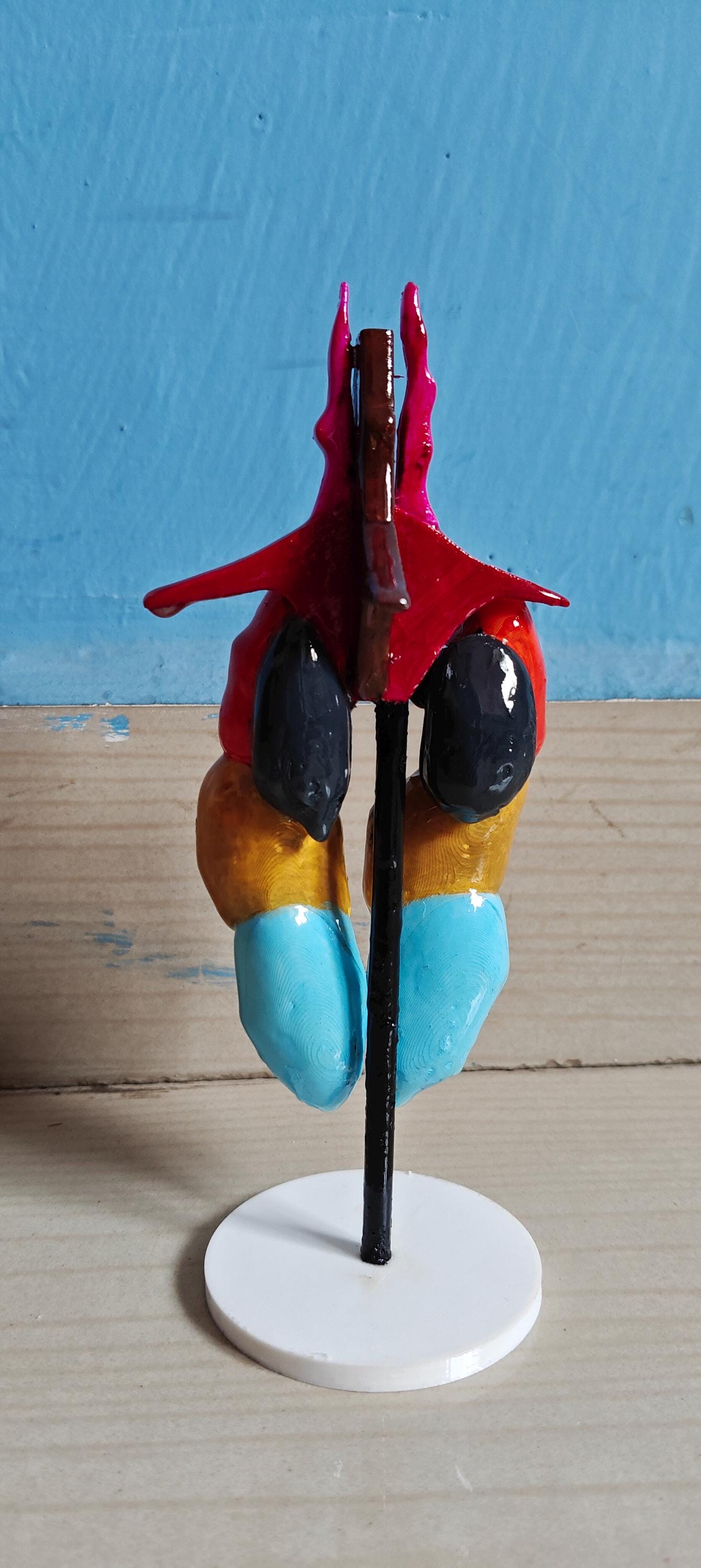 Avian Lung & Air Sac Model | Bird Respiratory System | Veterinary Teaching Tool | Ornithology Science Model