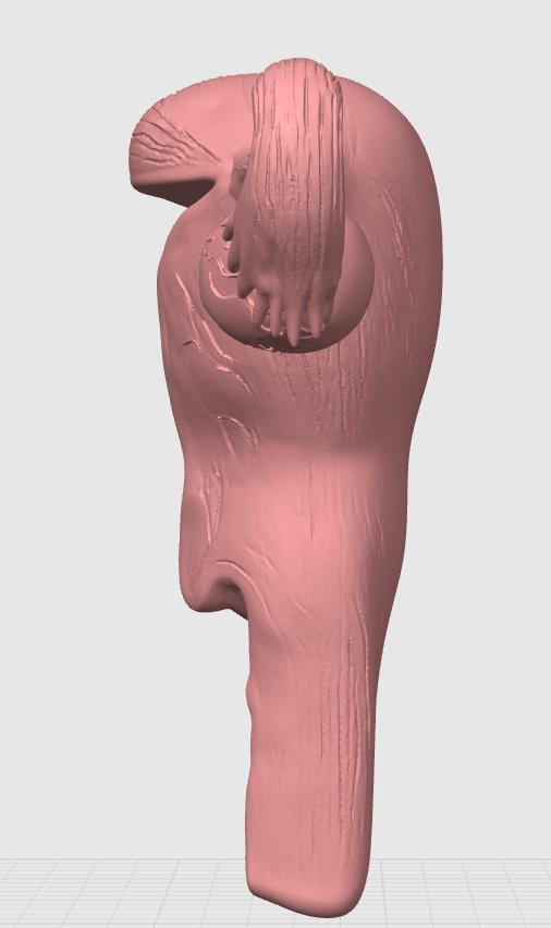 Female Reproductive System Model | Detailed Anatomy Sculpture | Women’s Health Education | Medical Student Gift