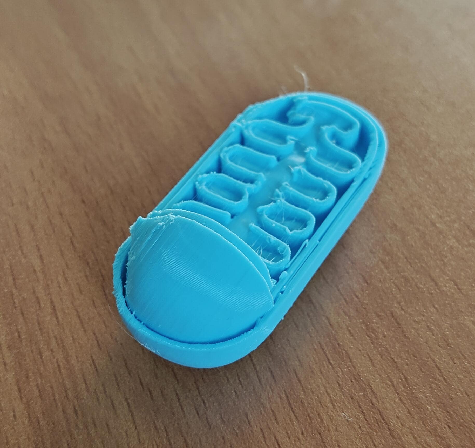 Anatomical Mitochondrion Model | Biology Education Sculpture, Medical Study Art