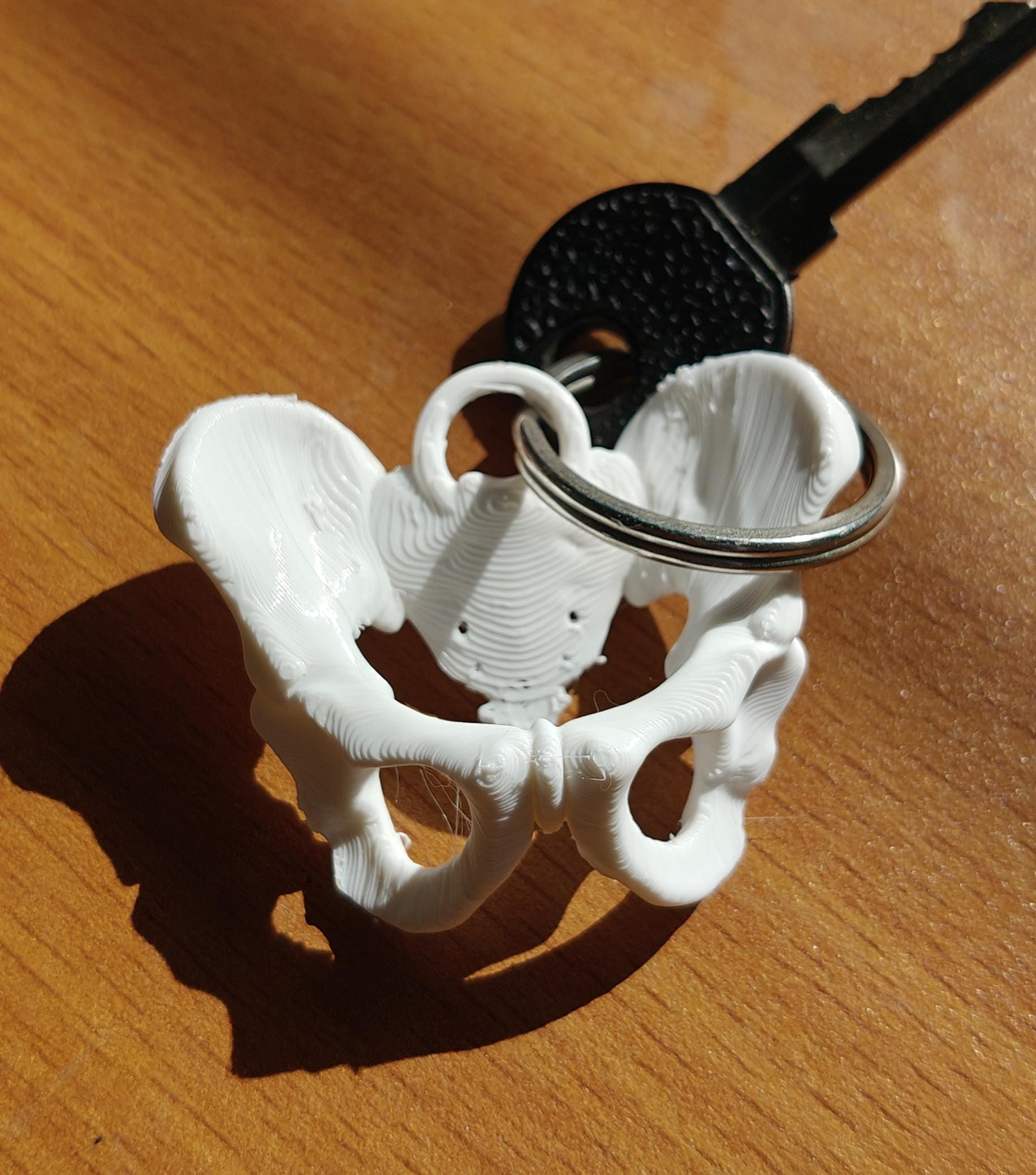 Anatomical Pelvis Keychain | 50mm Skeleton Accessory | OB-GYN & Midwife Gift | Detailed Miniature Osteology Model
