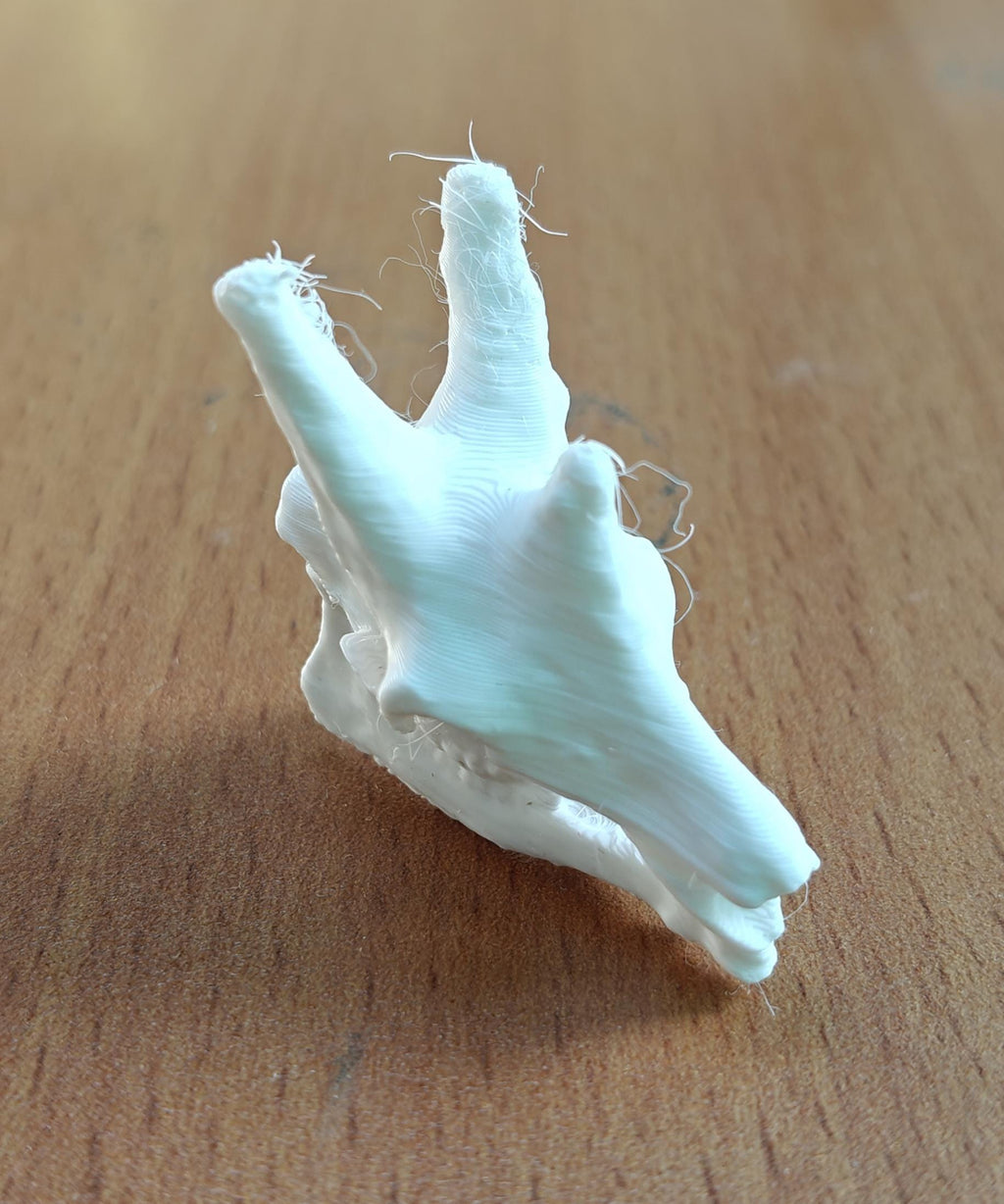 Anatomical Giraffe Skull Replica | 170mm Desk Scale Osteology Decor
