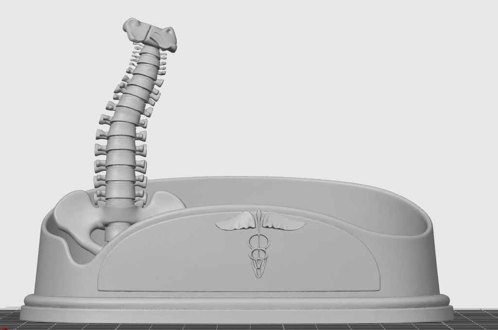 Spinal Column Business Card Holder | Chiropractor Office Decor | Spine Anatomy Desk Accessory | Orthopedic Gift
