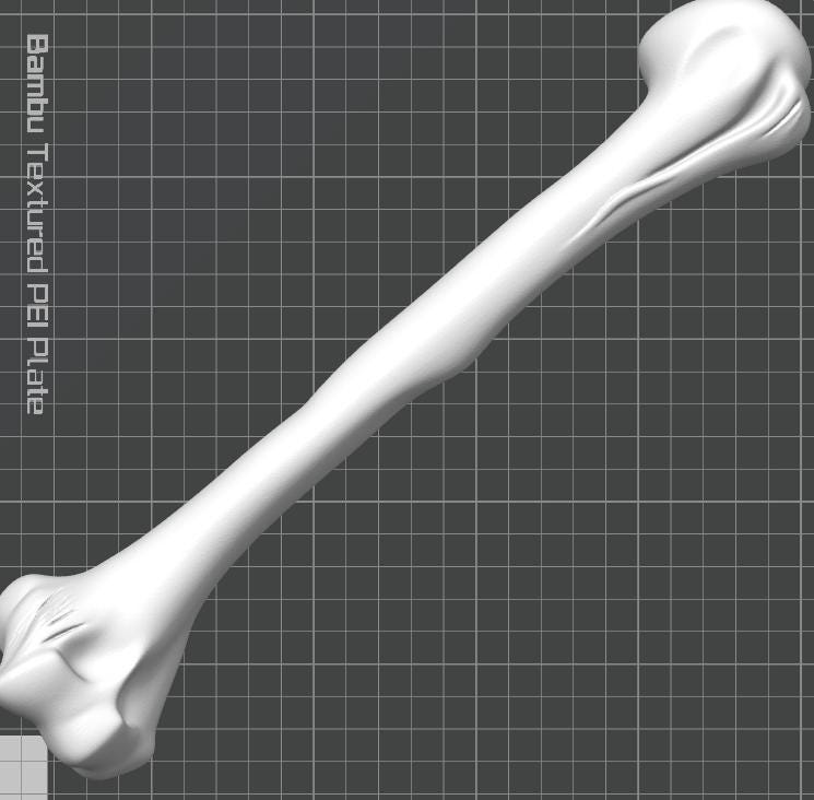 Anatomical Humerus Bone Model | Medical Study Aid, PLA+ Skeletal Anatomy (Large)