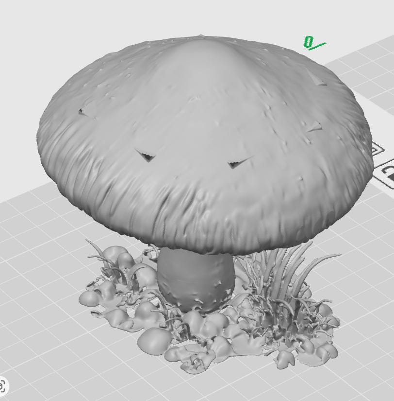 100mm Parasol Mushroom Sculpture | Macrolepiota procera Fungal Model, Mycology Gift