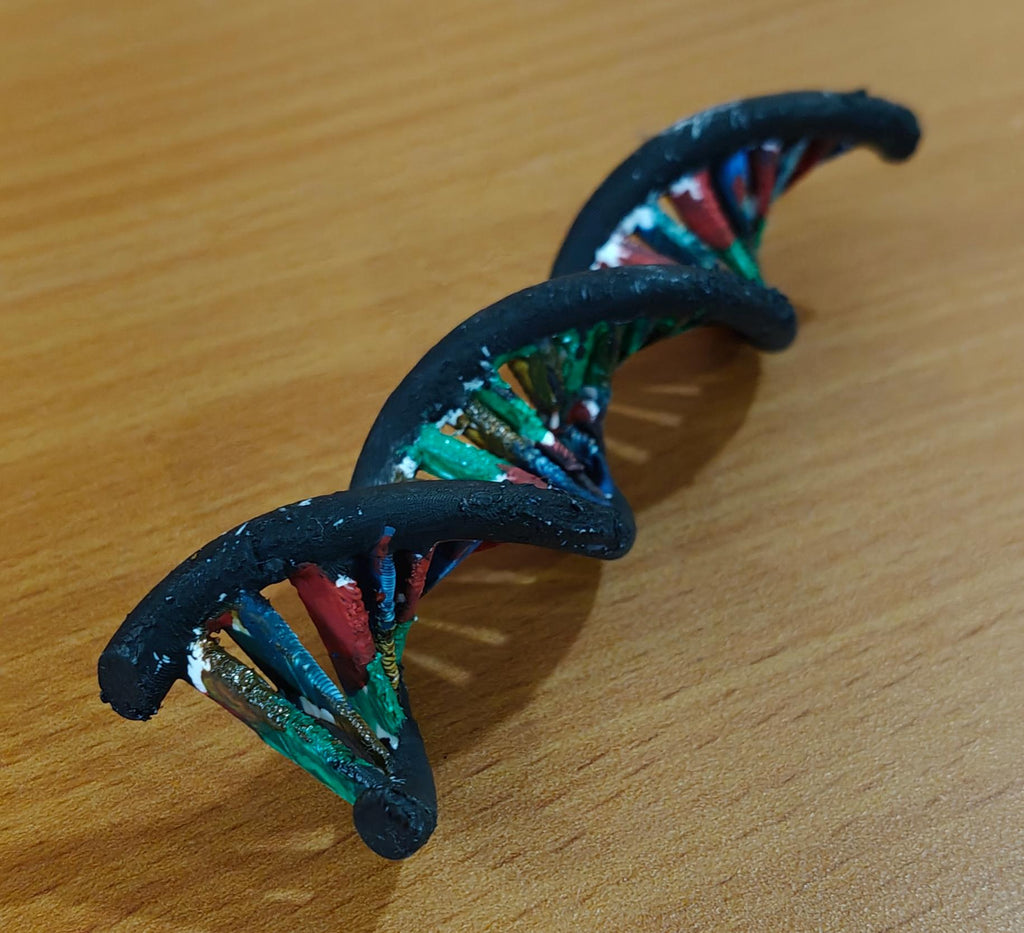DNA Double Helix Model | Genetic Structure Sculpture | Science Lab Decor | Biology Teacher Graduation Gift
