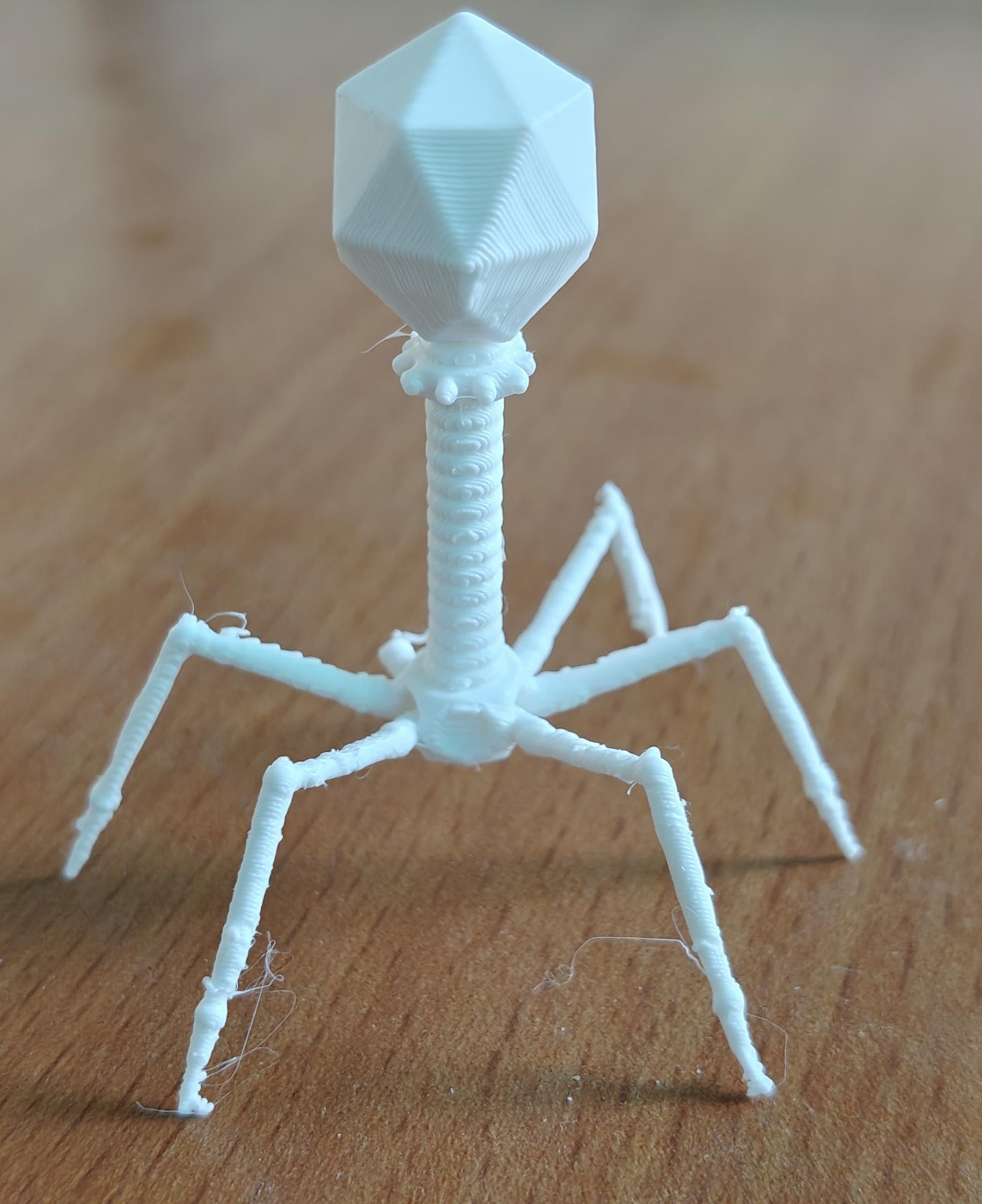 175mm Bacteriophage T4 Model | Virus Sculpture Gift