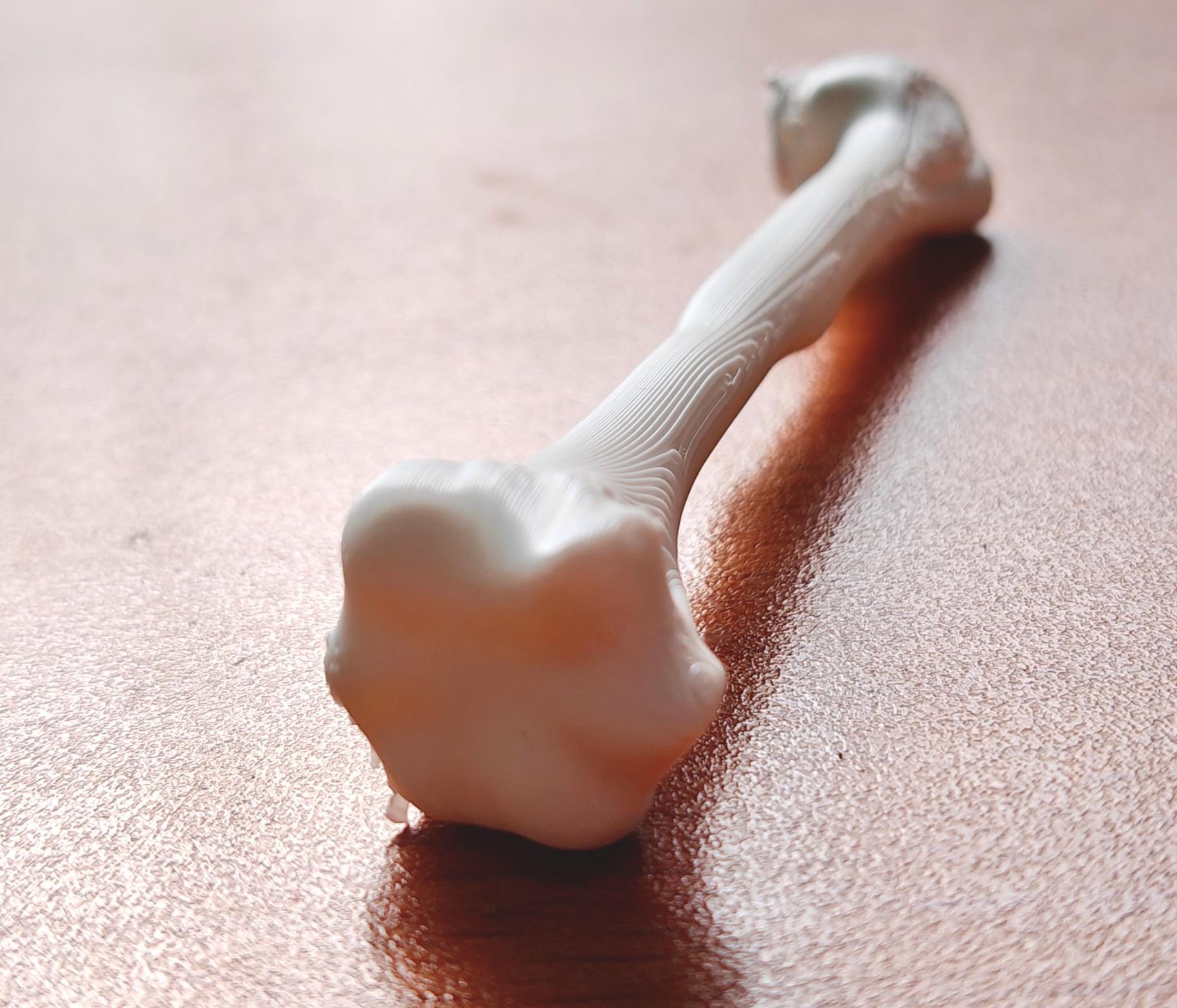 Anatomical Humerus Bone Model | Medical Study Aid, PLA+ Skeletal Anatomy (Large)