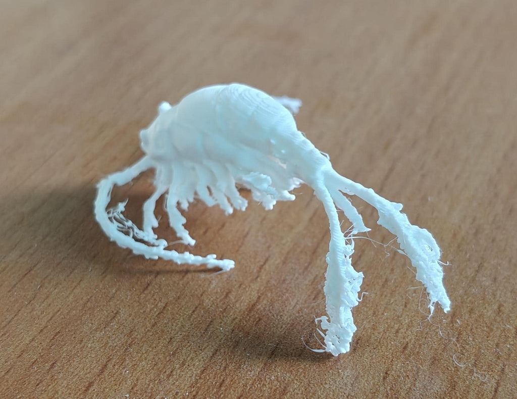 Copepod Crustacean Model | Marine Plankton Sculpture | Biology Replica | Gift for Medical