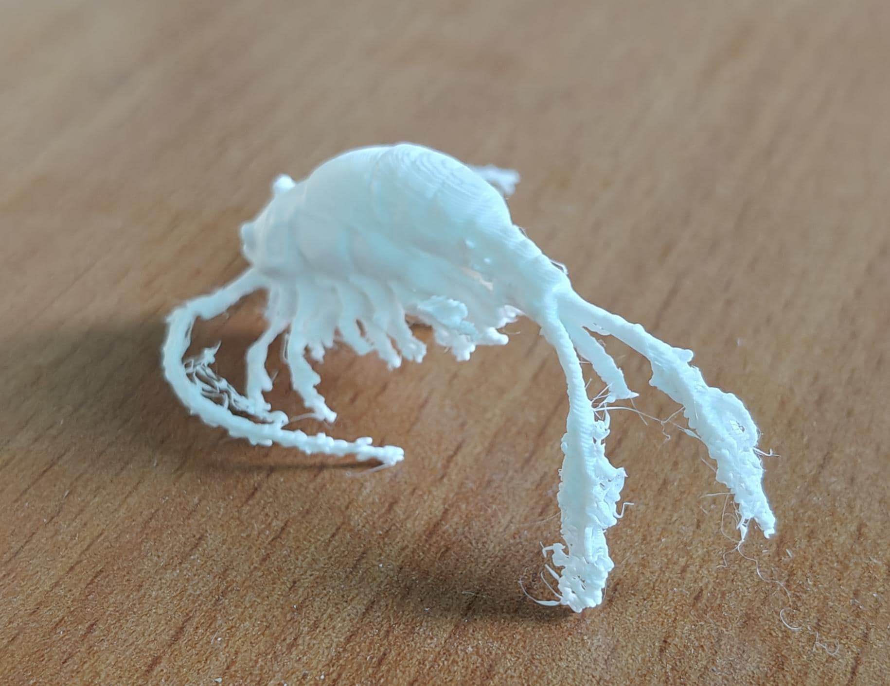Copepod Crustacean Model | Marine Plankton Sculpture | Biology Replica | Gift for Medical