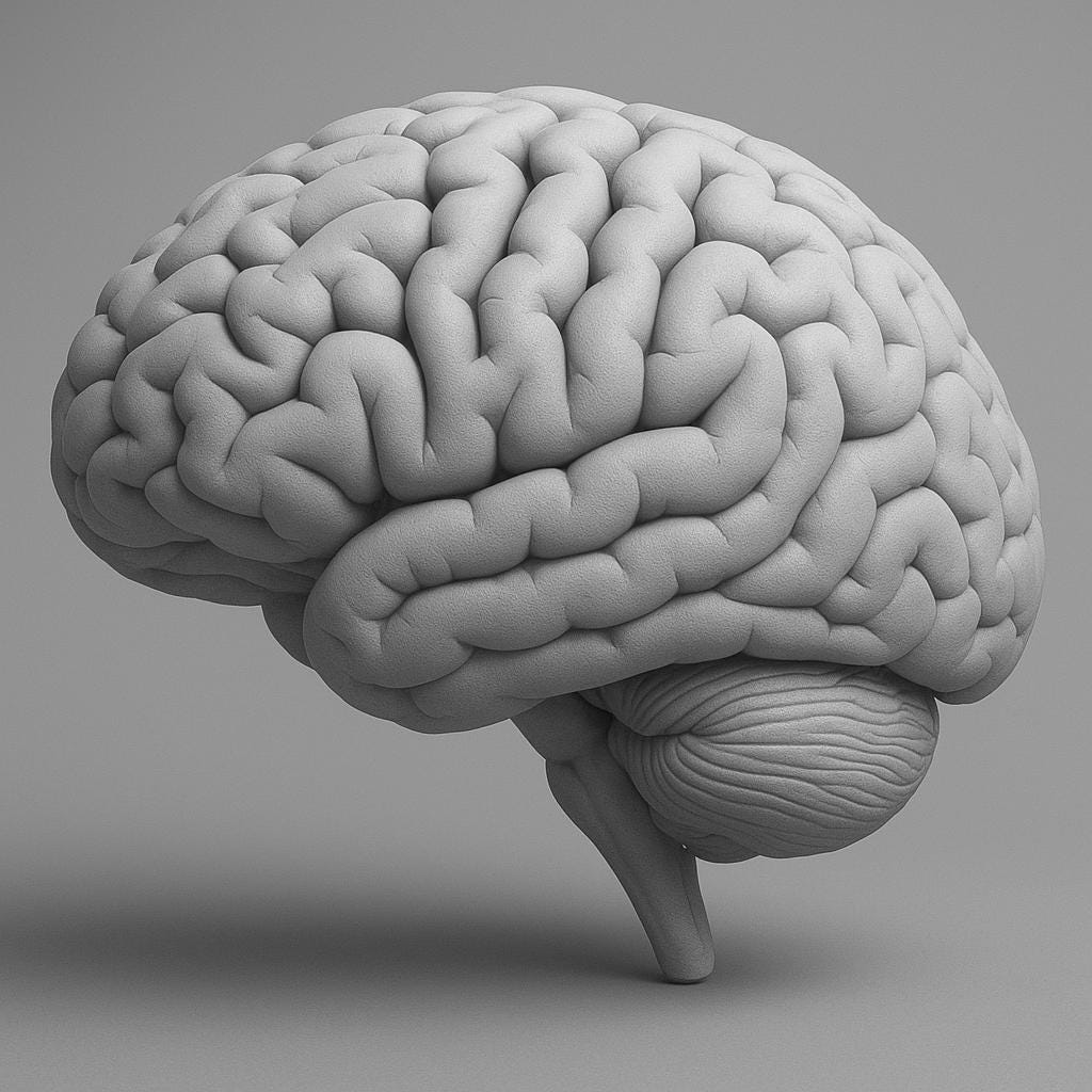 Miniature Brain Sculpture | Neuroscience Desk Decor | Psychology Gift | Educational Brain Anatomy Model