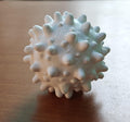 Anatomical White Blood Cell Model | Leukocyte Sculpture | Immunology Education Display | Professional Biology Medical Decor