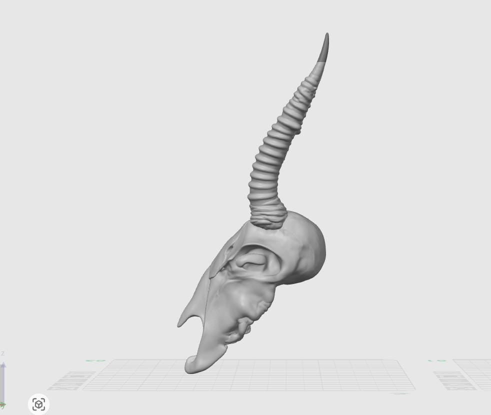 Antelope Skull Replica | Spiraled Horn African Wildlife Anatomy Display (170mm)