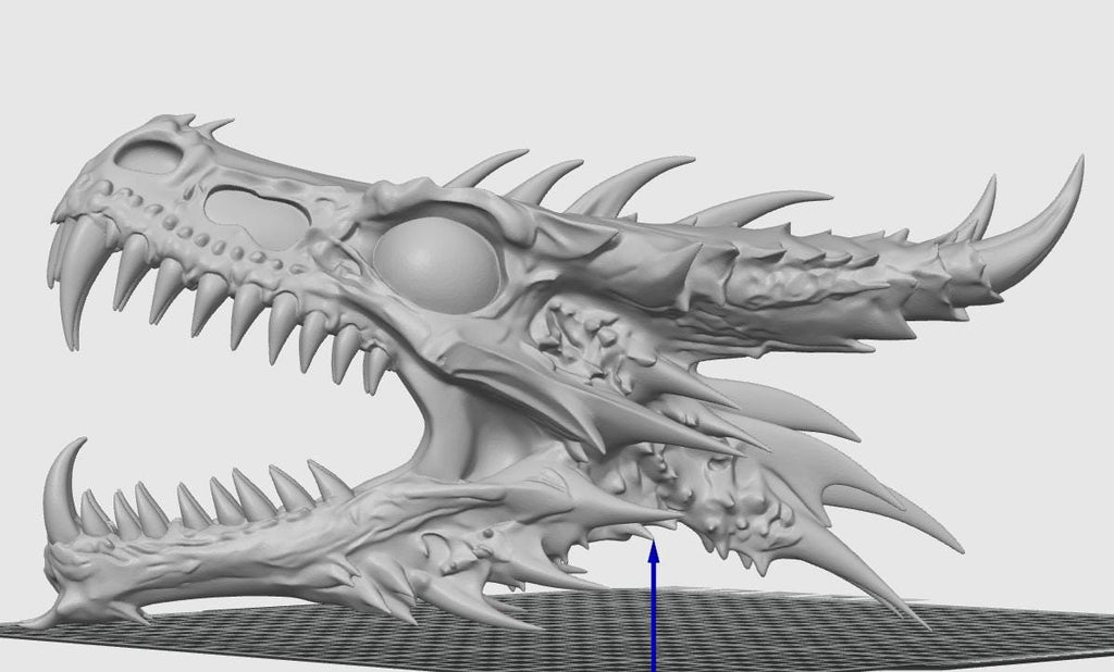 Anatomical Dragon Skull Fossil | Dragon Bone Desk Decor | D&D Fantasy Prop | Mythical Creature Skeleton