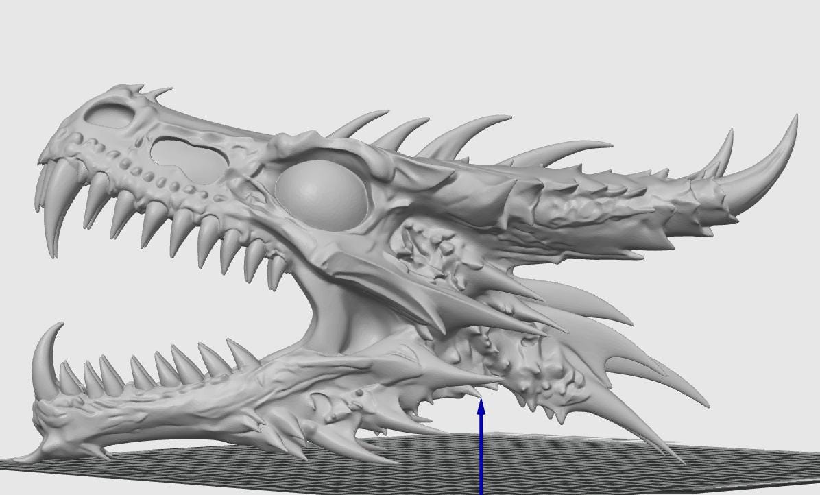 Anatomical Dragon Skull Fossil | Dragon Bone Desk Decor | D&D Fantasy Prop | Mythical Creature Skeleton