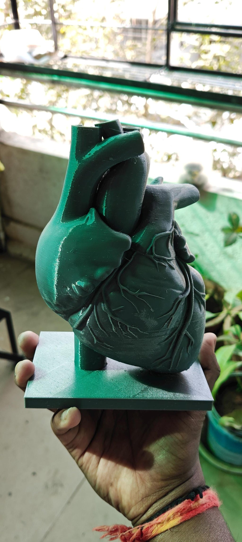 Anatomical Heart Sculpture | Realistic Medical Model Desk Decor