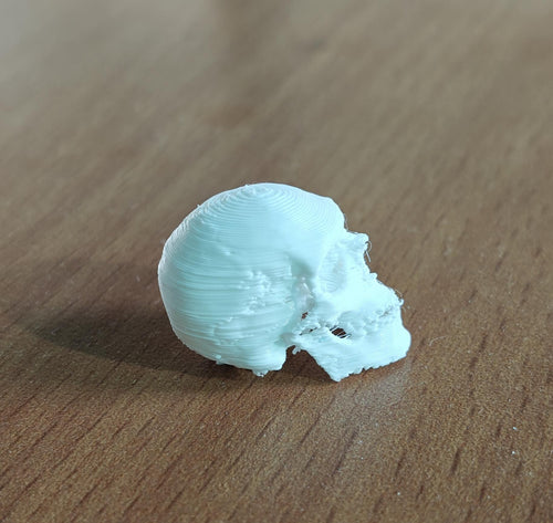 20-Part Disarticulated Human Skull Model | Medical Anatomy Study Set