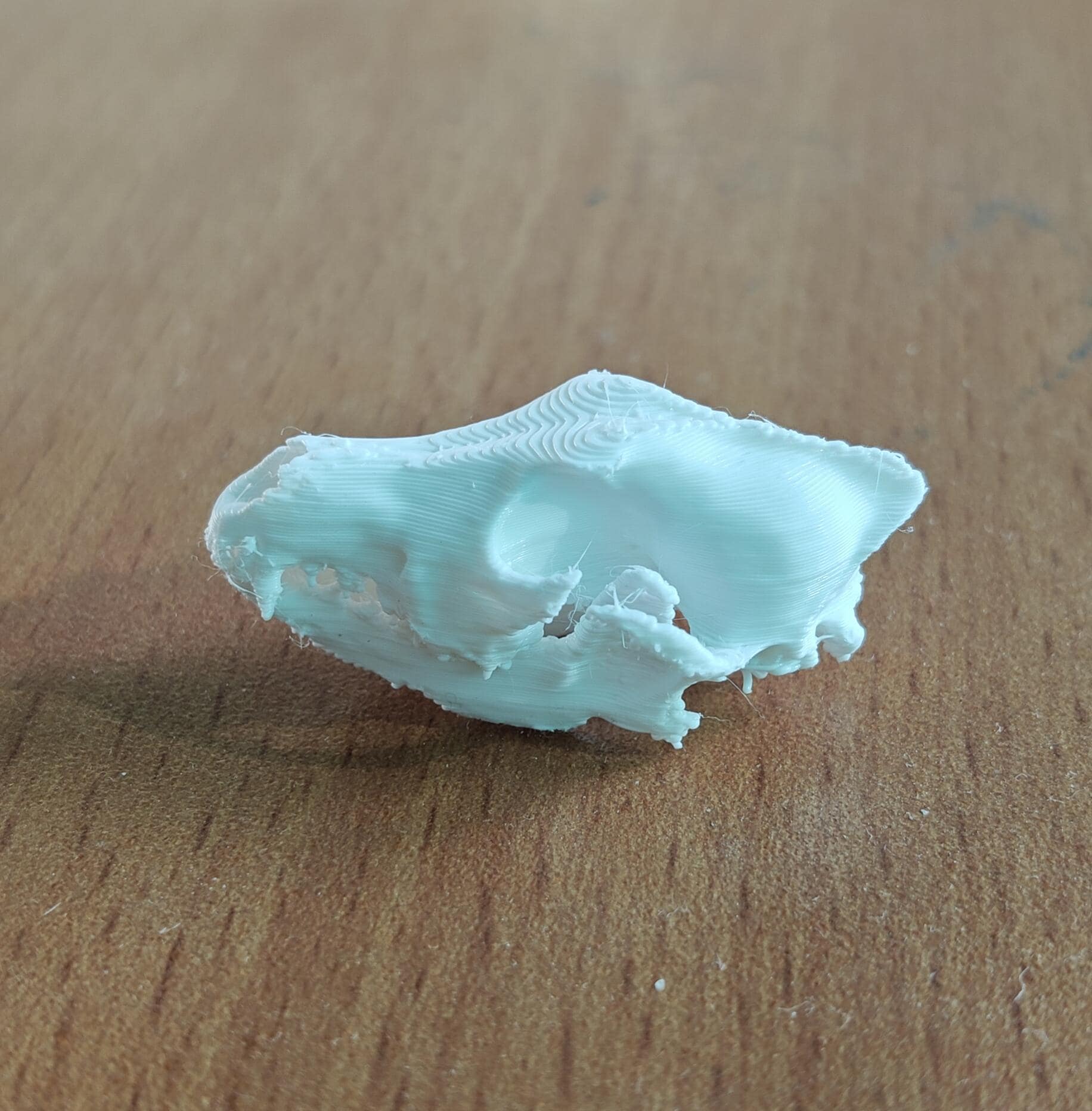 Anatomical Wolf Skull Replica | 170mm Predator Osteology Model, Gothic Nature Display