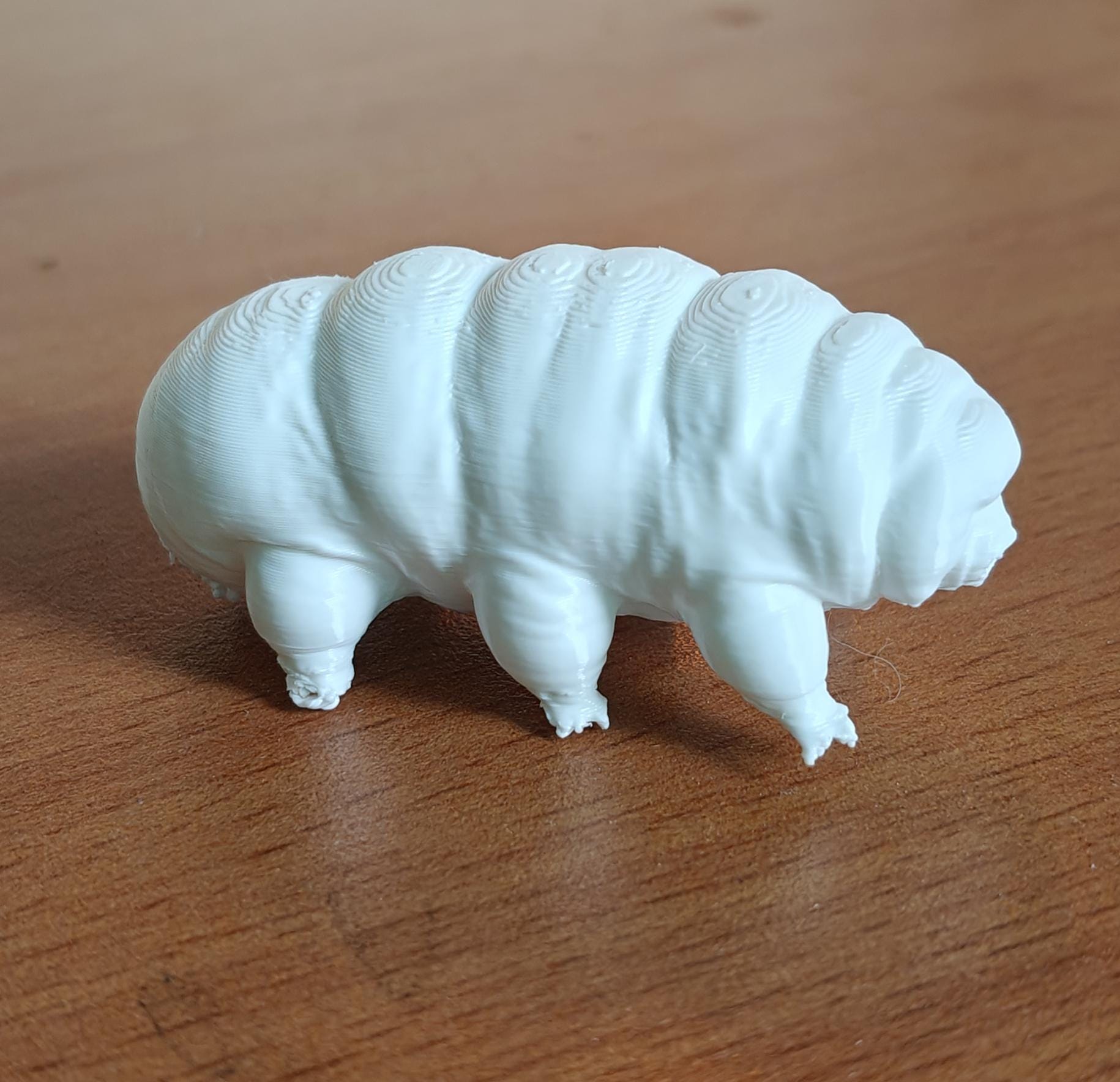 Giant Tardigrade Sculpture | Realistic Water Bear Scientific Model, 175mm Desk Art