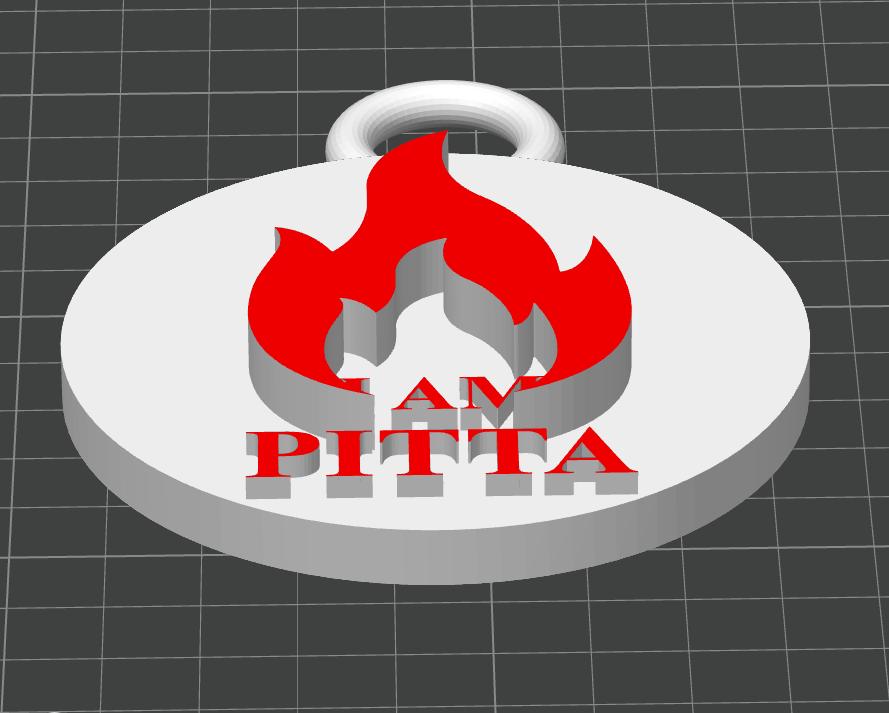 Custom Pitta Keychain | Personalized Ayurveda Accessory | 3D Printed Wellness ID Wearable