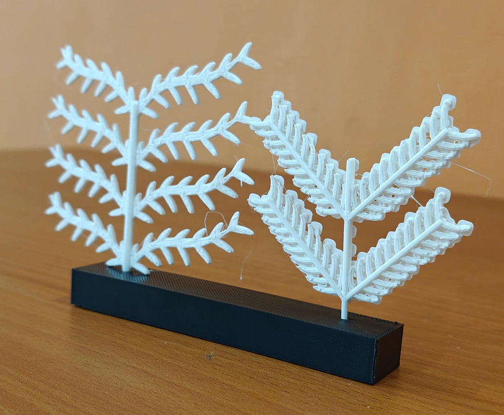 Scientific Bird Feather Model | Barb & Barbule Anatomy | Educational Biology Display | Avian Science Teacher Gift