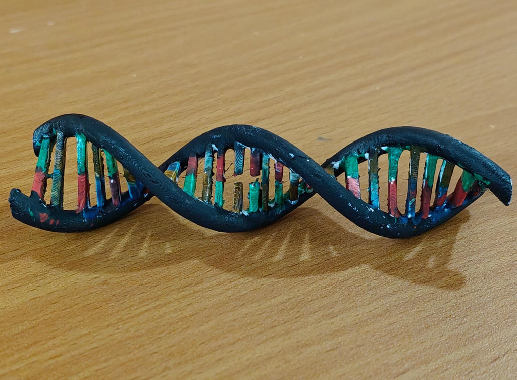 DNA Double Helix Model | Genetic Structure Sculpture | Science Lab Decor | Biology Teacher Graduation Gift