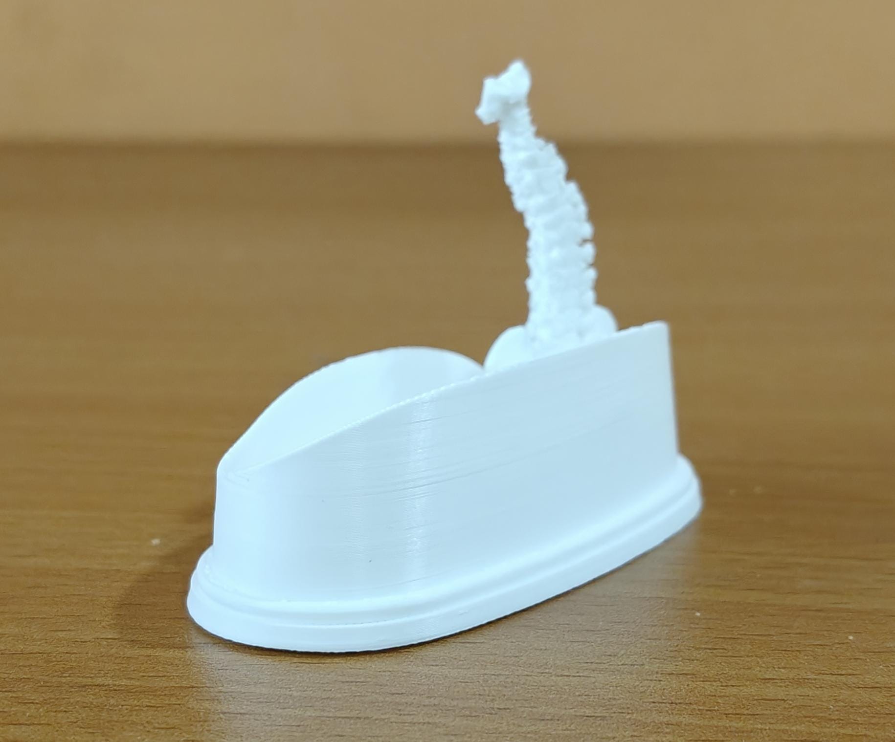 Spinal Column Business Card Holder | Chiropractor Office Decor | Spine Anatomy Desk Accessory | Orthopedic Gift