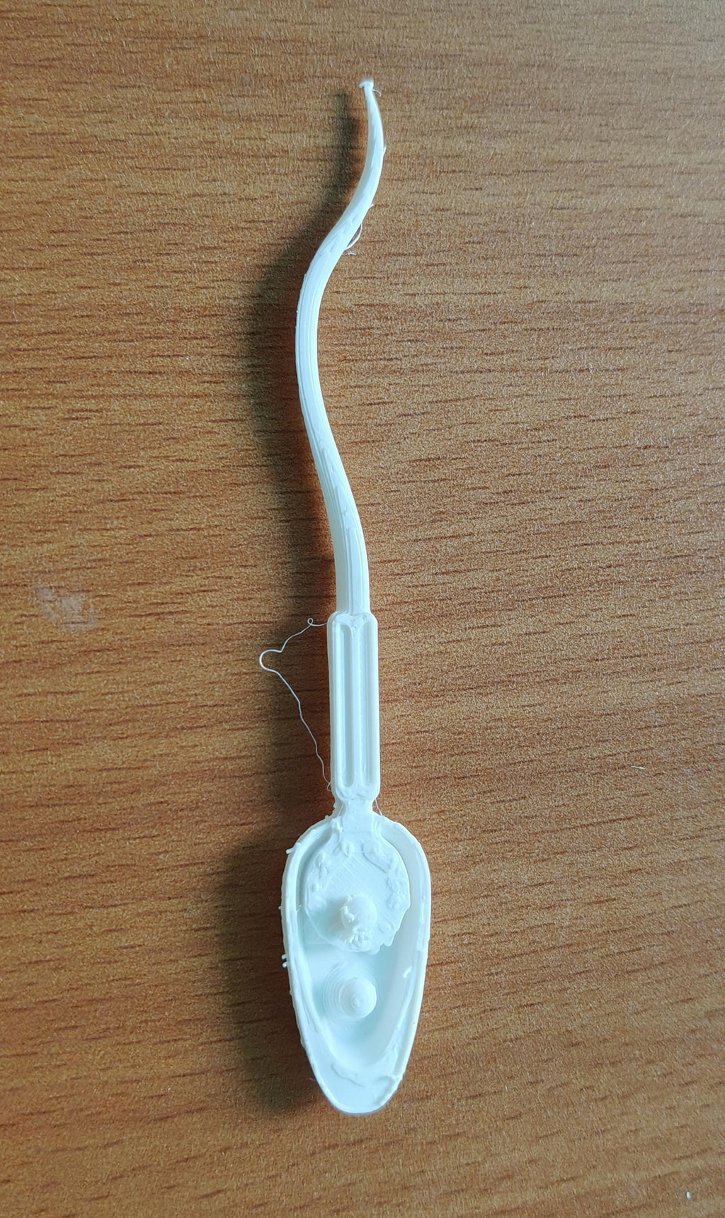 Human Sperm Anatomy Model | Reproductive Science Display | Medical Biology Study Aid | Fertility Specialist Decor
